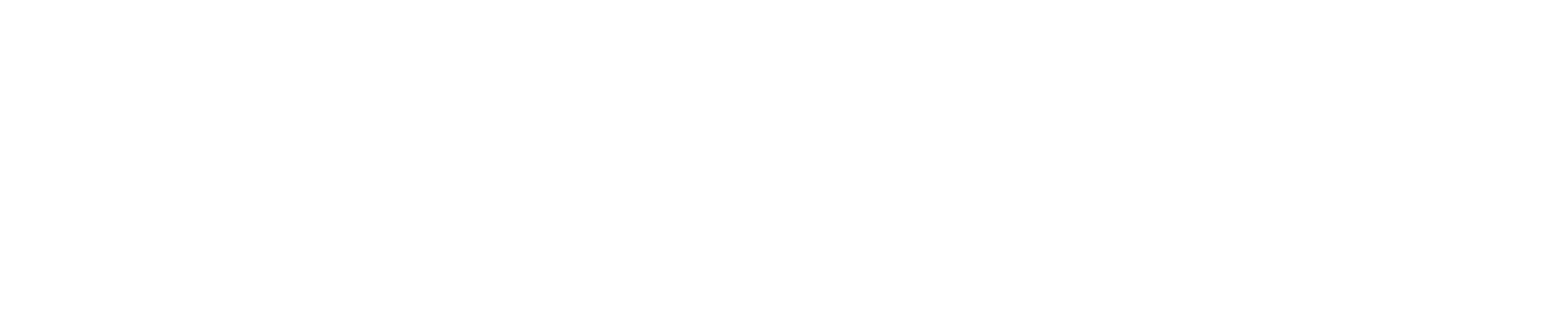 ALSUWEIDI